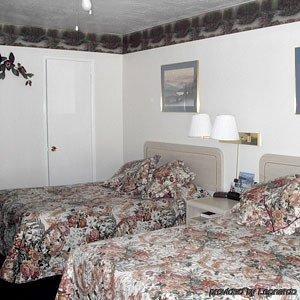 Travelers Inn And Suites サウス・レイクタホ 部屋 写真
